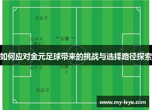如何应对金元足球带来的挑战与选择路径探索