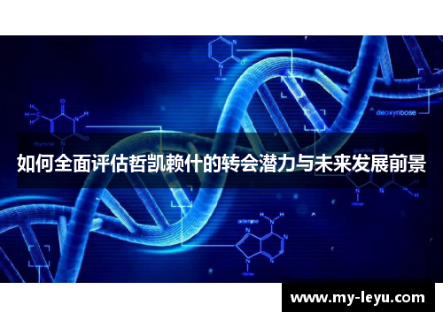 如何全面评估哲凯赖什的转会潜力与未来发展前景