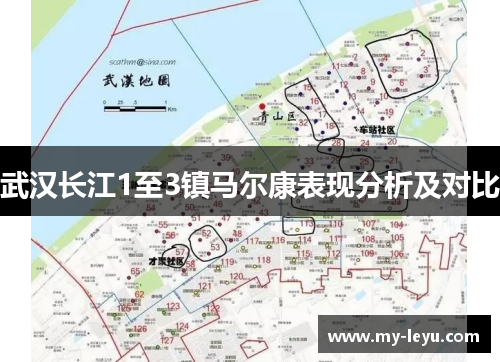 武汉长江1至3镇马尔康表现分析及对比