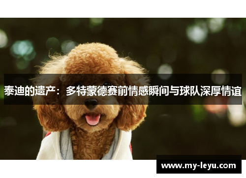 泰迪的遗产：多特蒙德赛前情感瞬间与球队深厚情谊