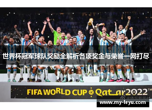 世界杯冠军球队奖励全解析各项奖金与荣誉一网打尽