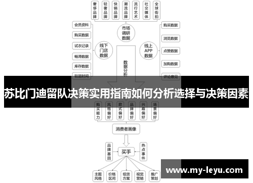苏比门迪留队决策实用指南如何分析选择与决策因素