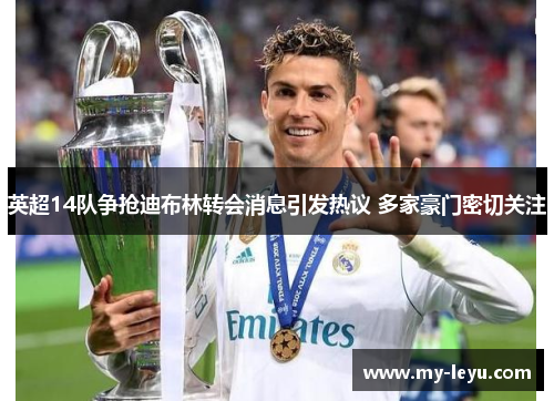 英超14队争抢迪布林转会消息引发热议 多家豪门密切关注