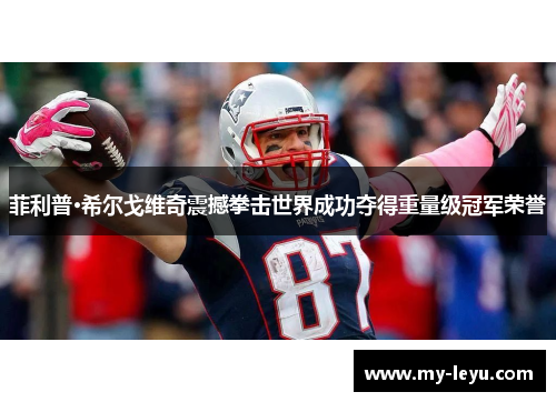 菲利普·希尔戈维奇震撼拳击世界成功夺得重量级冠军荣誉