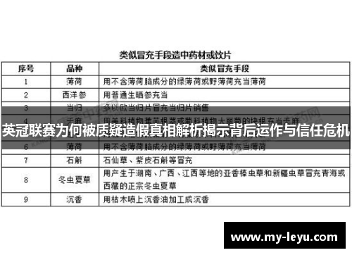 英冠联赛为何被质疑造假真相解析揭示背后运作与信任危机 英冠联赛为何被质疑造假真相解析揭示背后运作与信任危机