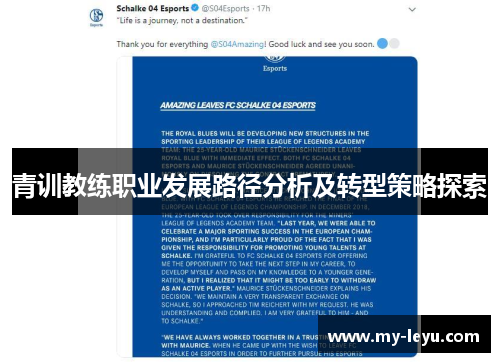 青训教练职业发展路径分析及转型策略探索 青训教练职业发展路径分析及转型策略探索