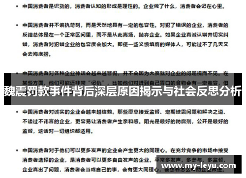 魏震罚款事件背后深层原因揭示与社会反思分析