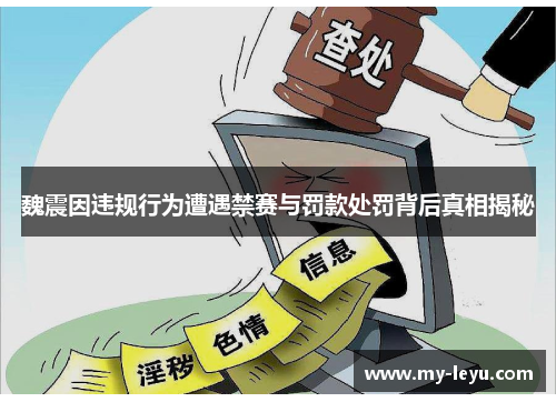 魏震因违规行为遭遇禁赛与罚款处罚背后真相揭秘