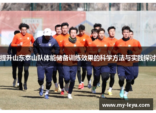 提升山东泰山队体能储备训练效果的科学方法与实践探讨