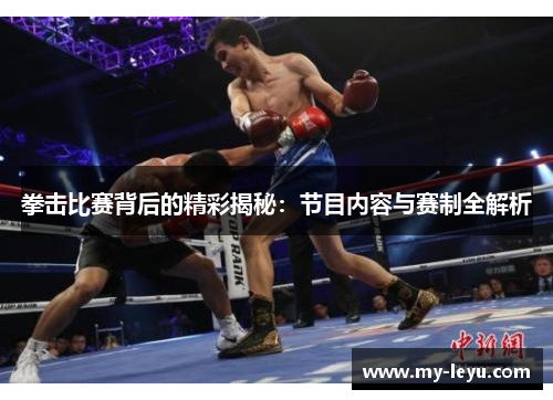 拳击比赛背后的精彩揭秘：节目内容与赛制全解析