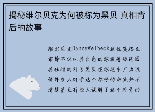 揭秘维尔贝克为何被称为黑贝 真相背后的故事
