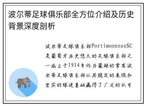 波尔蒂足球俱乐部全方位介绍及历史背景深度剖析
